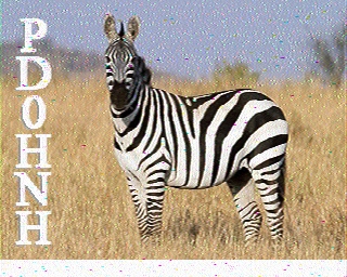 PD0HNH: 2022-02-21 de PI1DFT