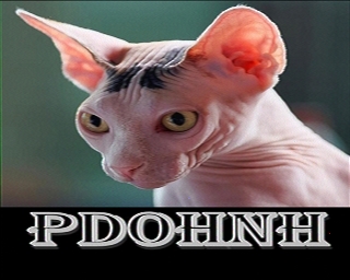 PD0HNH: 2022-03-02 de PI1DFT