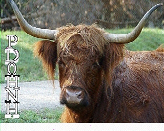 PD0HNH: 2022-03-12 de PI1DFT