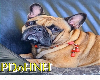 PD0HNH: 2022-03-19 de PI1DFT