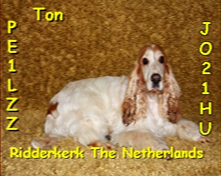 PE1LZZ: 2022-03-23 de PI1DFT