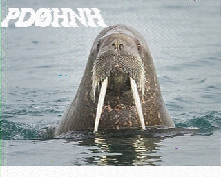 PD0HNH: 2022-03-24 de PI1DFT