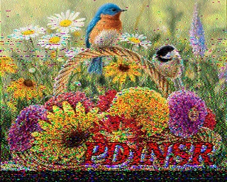 PD1NSR: 2022-03-27 de PI1DFT