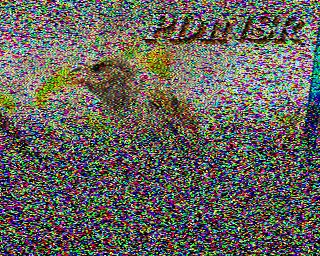 PD1NSR: 2022-08-07 de PI1DFT