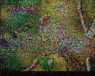 PD1NSR: 2022-08-24 de PI1DFT