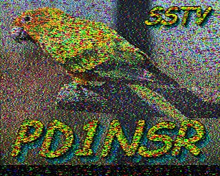 PD1NSR: 2022-08-24 de PI1DFT