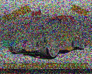 PD1NSR: 2023-06-01 de PI1DFT