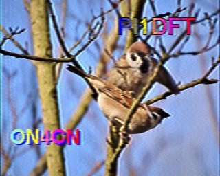 ON4CN: 2023-10-09 de PI1DFT