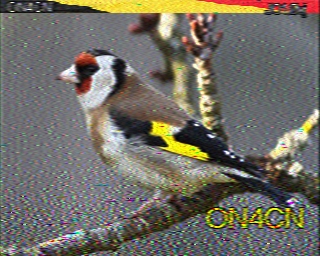 ON4CN: 2023-10-09 de PI1DFT