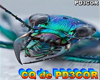PD3COR: 2024-03-09 de PI1DFT