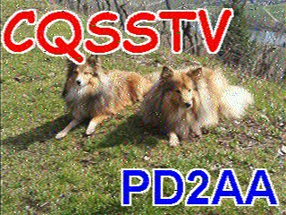 PD2AA: 2024-10-13 de PI1DFT