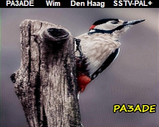 PA3ADE: 2025-01-08 de PI1DFT