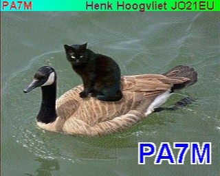 PA7M: 2025-01-08 de PI1DFT