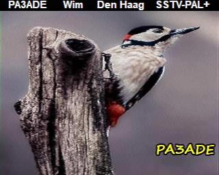 PA3ADE: 2025-01-09 de PI1DFT