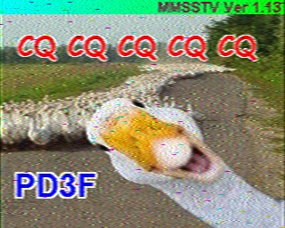 PD3F: 2025-01-19 de PI1DFT
