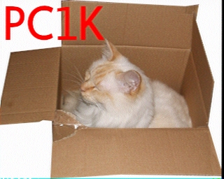 PC1K: 2025-05-19 de PI1DFT