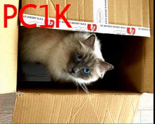 PC1K: 2025-05-22 de PI1DFT