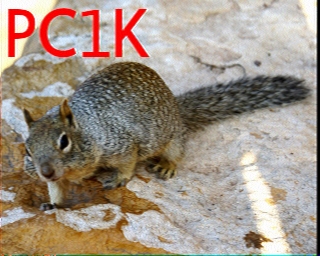 PC1K: 2025-06-03 de PI1DFT