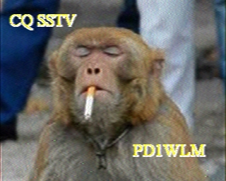 PD1WLM: 2025-06-17 de PI1DFT