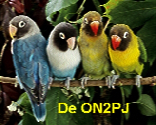 ON2PJ: 2025-06-18 de PI1DFT
