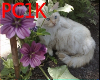 PC1K: 2025-06-25 de PI1DFT
