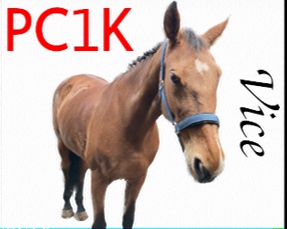 PC1K: 2025-06-25 de PI1DFT