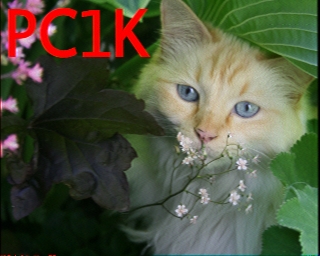 PC1K: 2025-06-28 de PI1DFT
