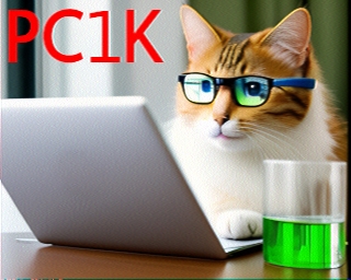PC1K: 2025-07-05 de PI1DFT