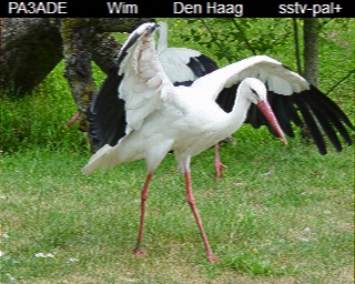 PA3ADE: 2025-07-09 de PI1DFT