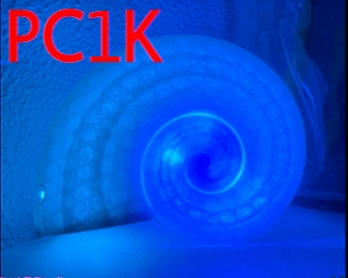 PC1K: 2025-07-16 de PI1DFT