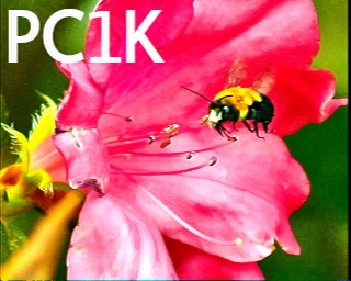 PC1K: 2025-07-30 de PI1DFT