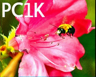 PC1K: 2025-08-13 de PI1DFT