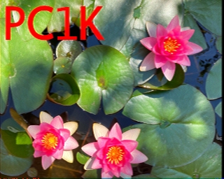 PC1K: 2025-08-18 de PI1DFT