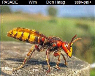 PA3ADE: 2025-09-15 de PI1DFT