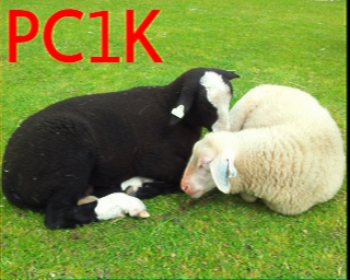 PC1K: 2025-09-23 de PI1DFT