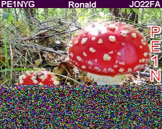 PE1NYG: 2025-09-23 de PI1DFT