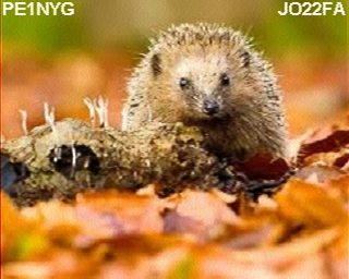 PE1NYG: 2025-09-23 de PI1DFT