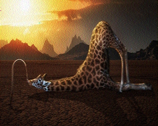 PD5JTB: 2025-09-26 de PI1DFT