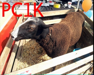 PC1K: 2025-09-26 de PI1DFT