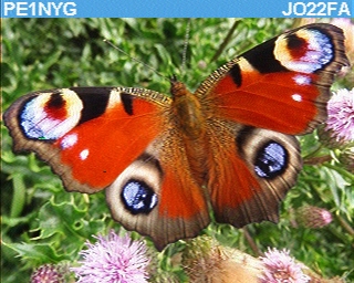 PE1NYG: 2025-09-28 de PI1DFT