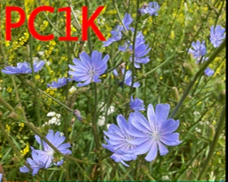 PC1K: 2025-10-25 de PI1DFT