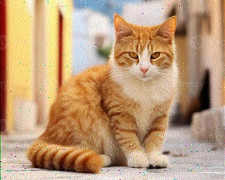 PD0MSW: 2025-10-25 de PI1DFT