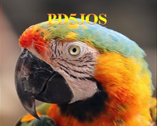 PD5JOS: 2025-10-31 de PI1DFT