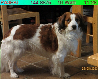 PA3EKI: 2025-11-06 de PI1DFT