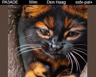 PA3ADE: 2025-11-06 de PI1DFT