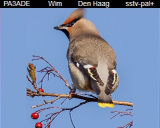 PA3ADE: 2025-11-06 de PI1DFT