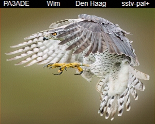 PA3ADE: 2025-11-07 de PI1DFT