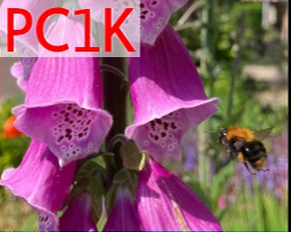 PC1K: 2025-11-12 de PI1DFT