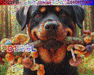 PD1WGL: 2025-11-13 de PI1DFT