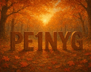 PE1NYG: 2025-11-16 de PI1DFT